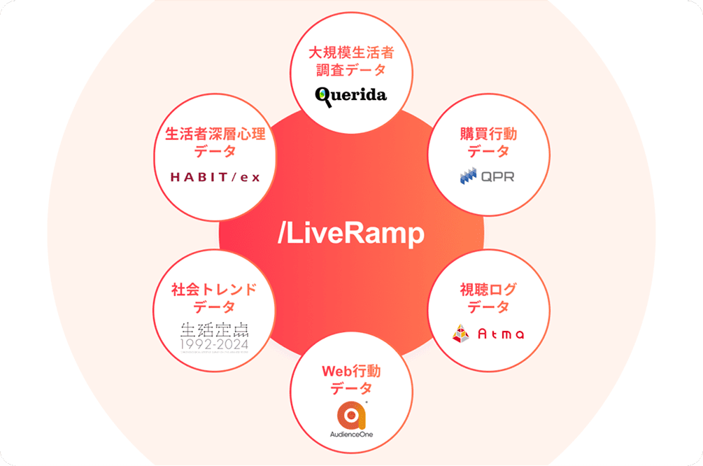 LiveRamp概要図